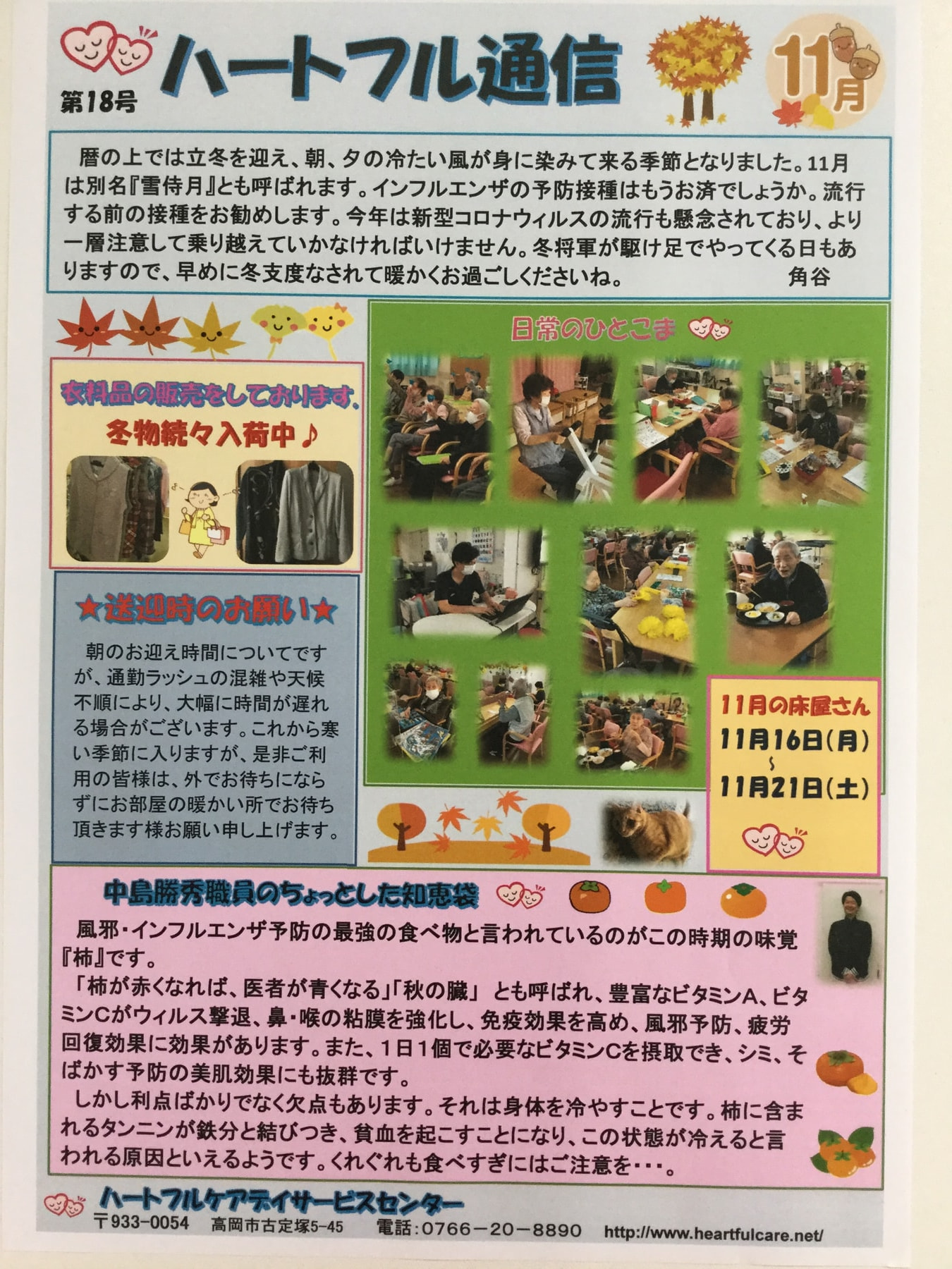 11月